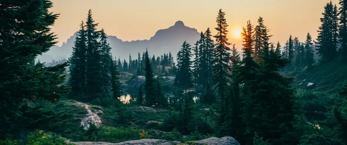 copertina-1-1170x490.jpg copertina-1-1170x490.jpg